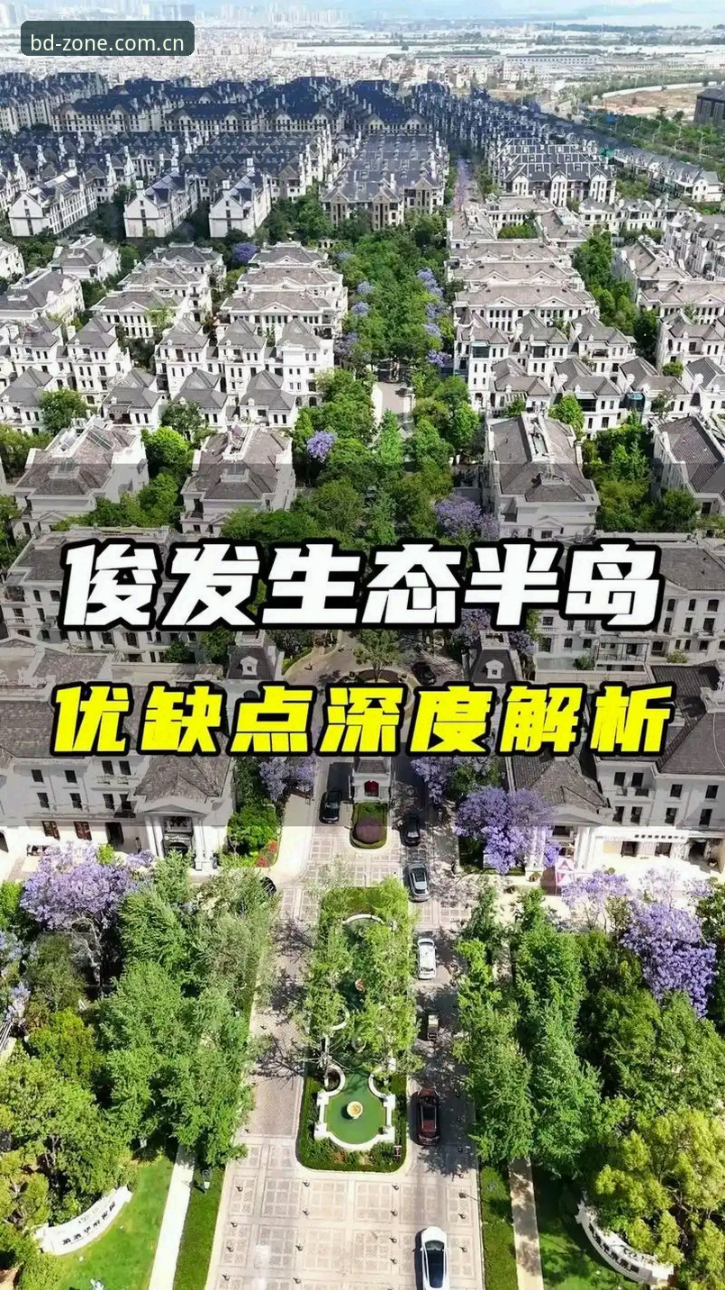 半岛体育赛场追踪功能深度分析：从数据体验到实战操作的全方位解析